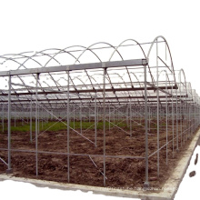 Agriculture/Farm/Multi-Span/Single-Span/Tunnel Plastic Film frame Greenhouse/Greenhouse for Vegetables/Flowers/Tomato/Garden
